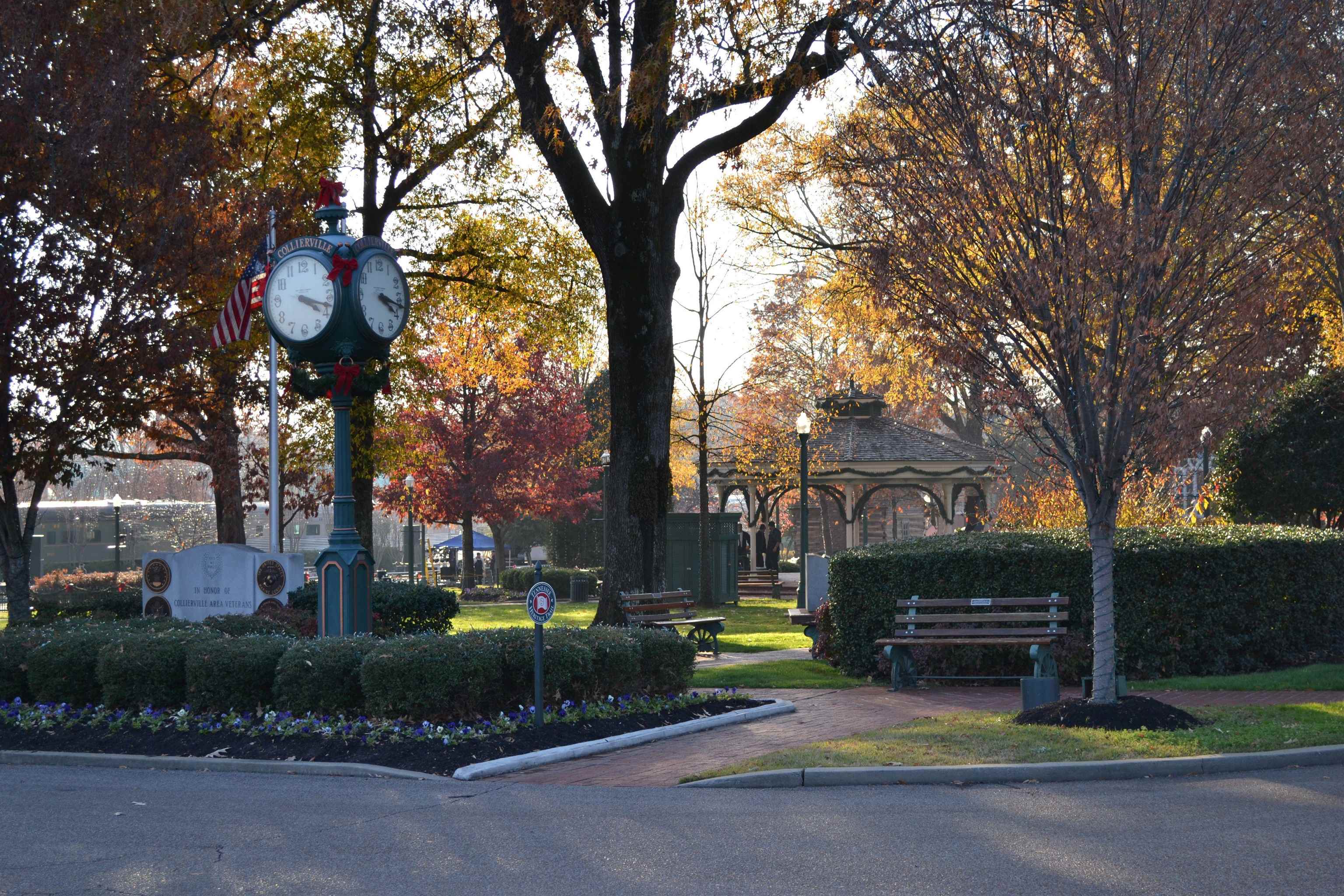 1115 Macon Ridge Drive Collierville, TN 38017 - Photo 28 of 32 Gallery Image 28
