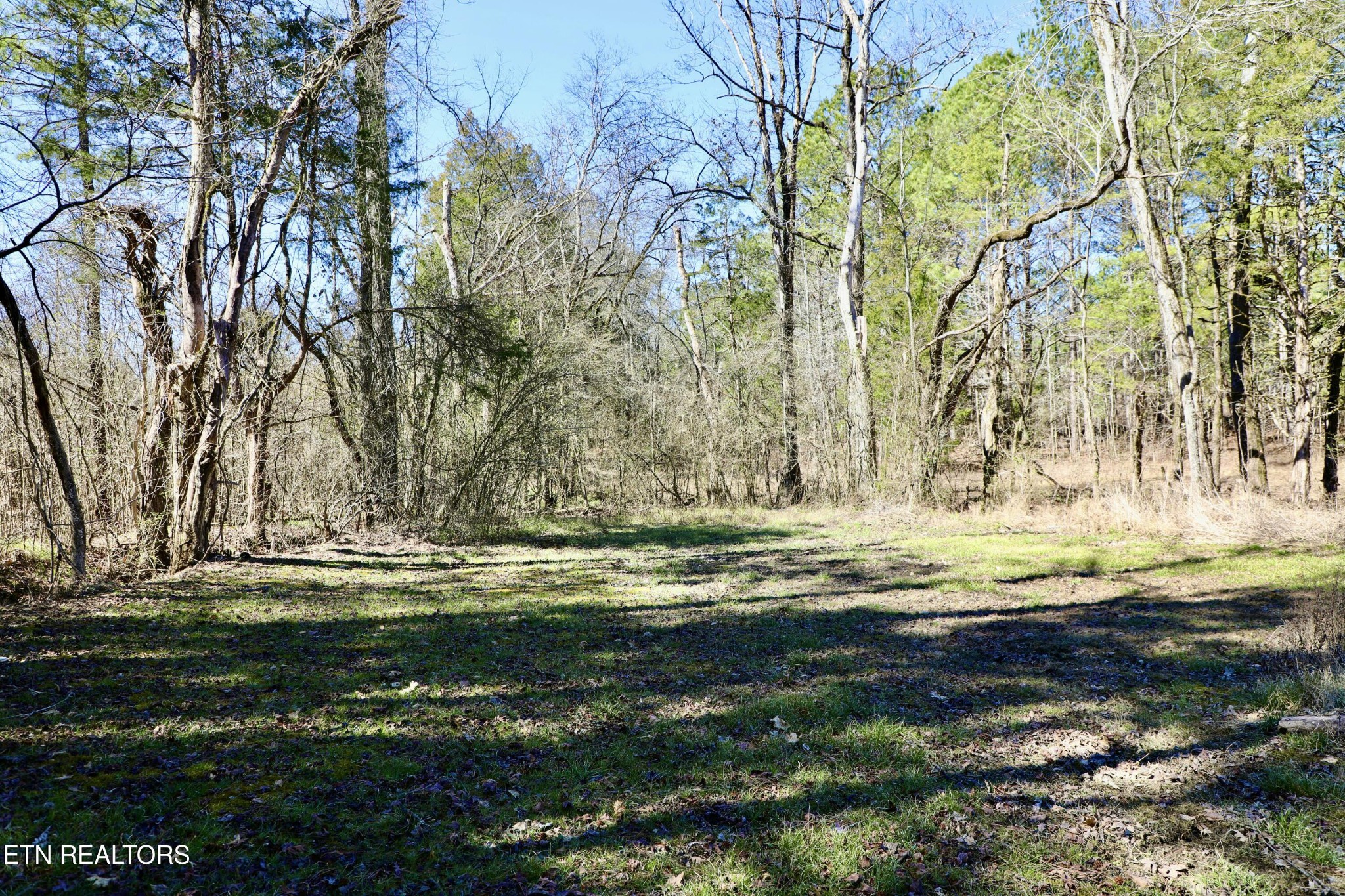 346 Chestuee Road Calhoun, TN 37309 - Photo 25 of 51 Gallery Image 25