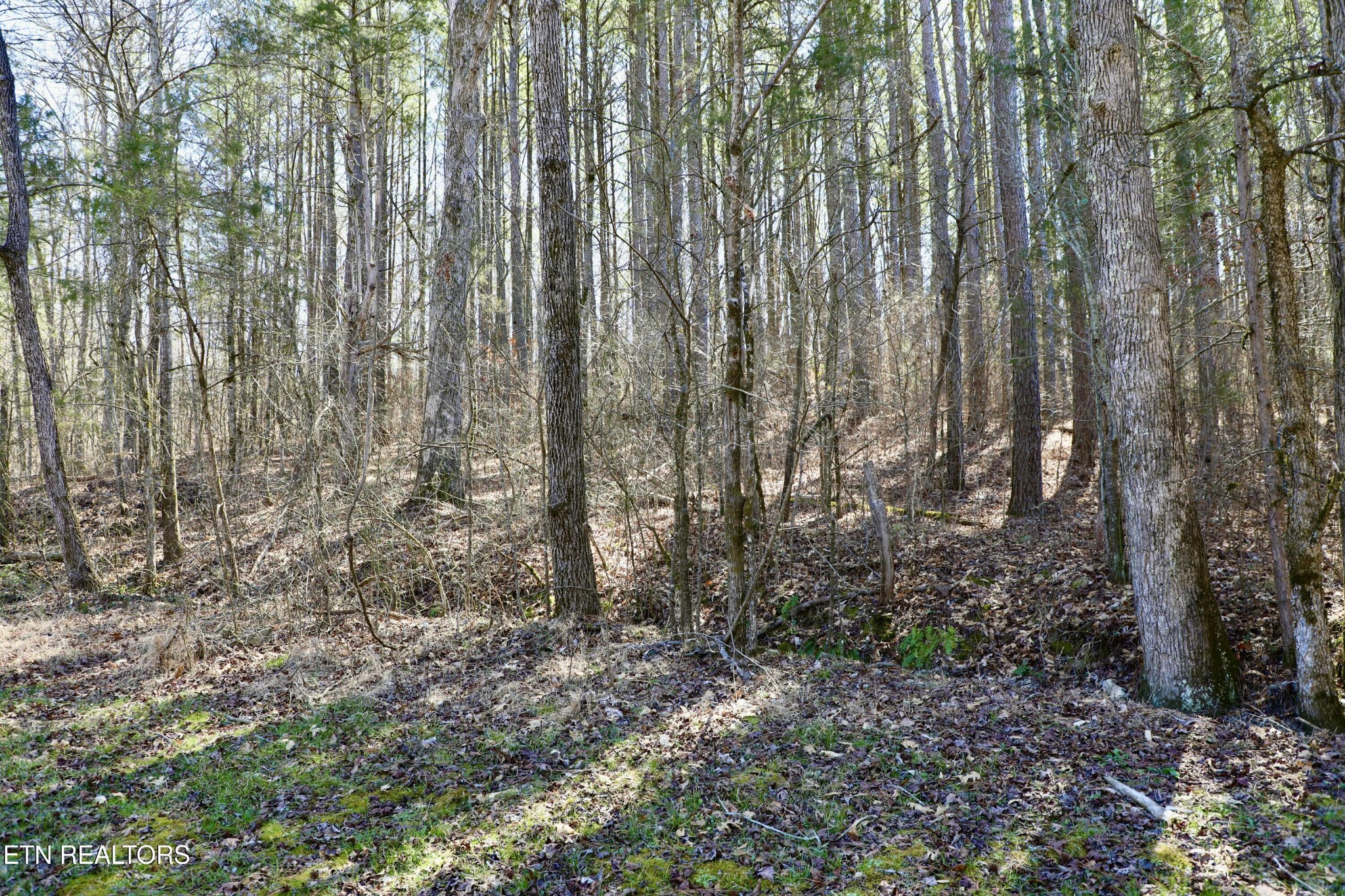 346 Chestuee Road Calhoun, TN 37309 - Photo 26 of 51 Gallery Image 26