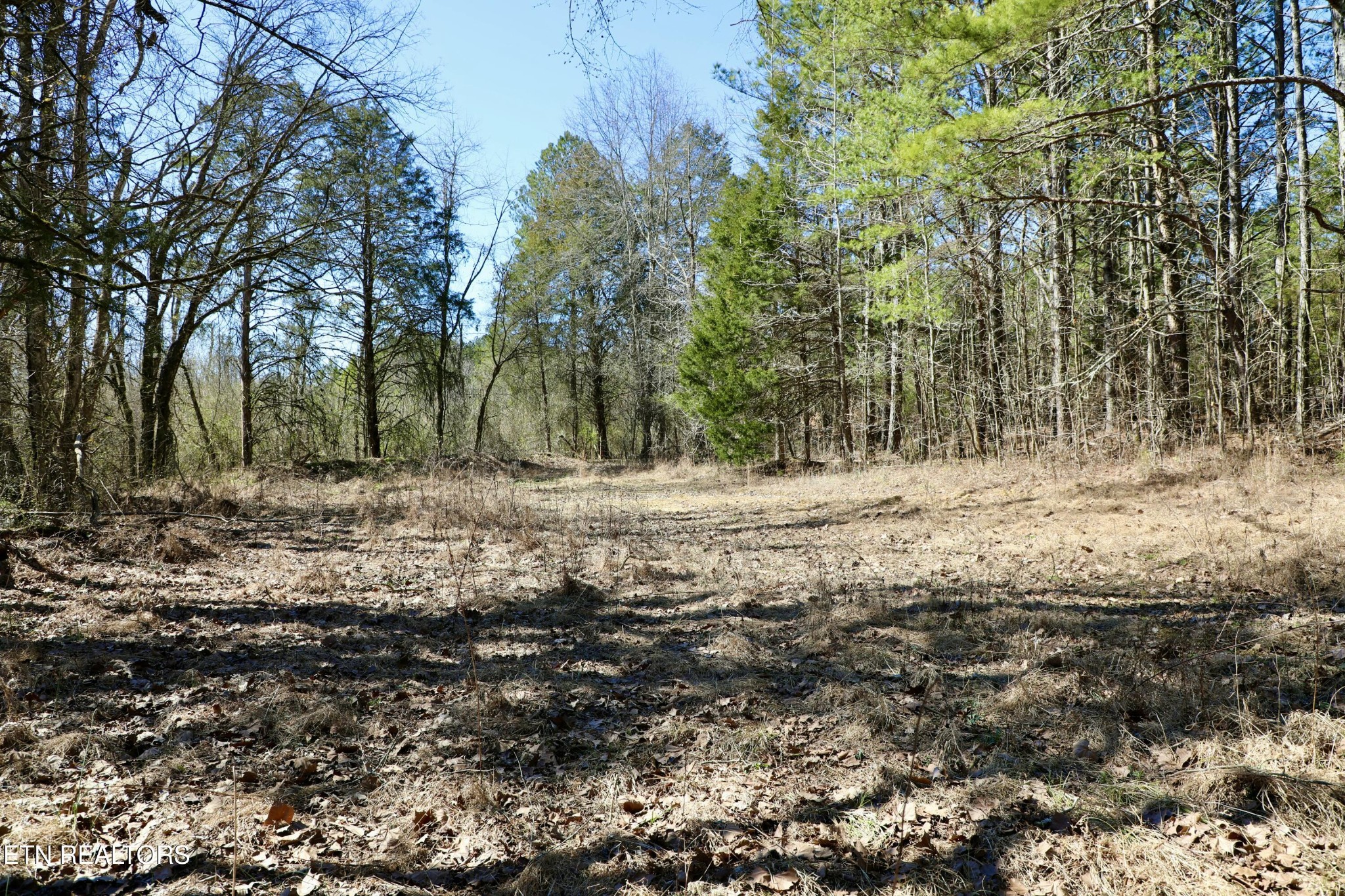 346 Chestuee Road Calhoun, TN 37309 - Photo 27 of 51 Gallery Image 27