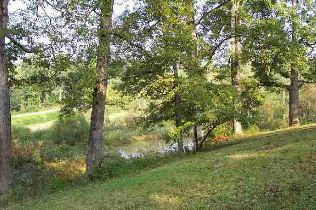 516 Duncan Road Six Mile, SC 29682 - Photo 7 of 9 Gallery Image 7
