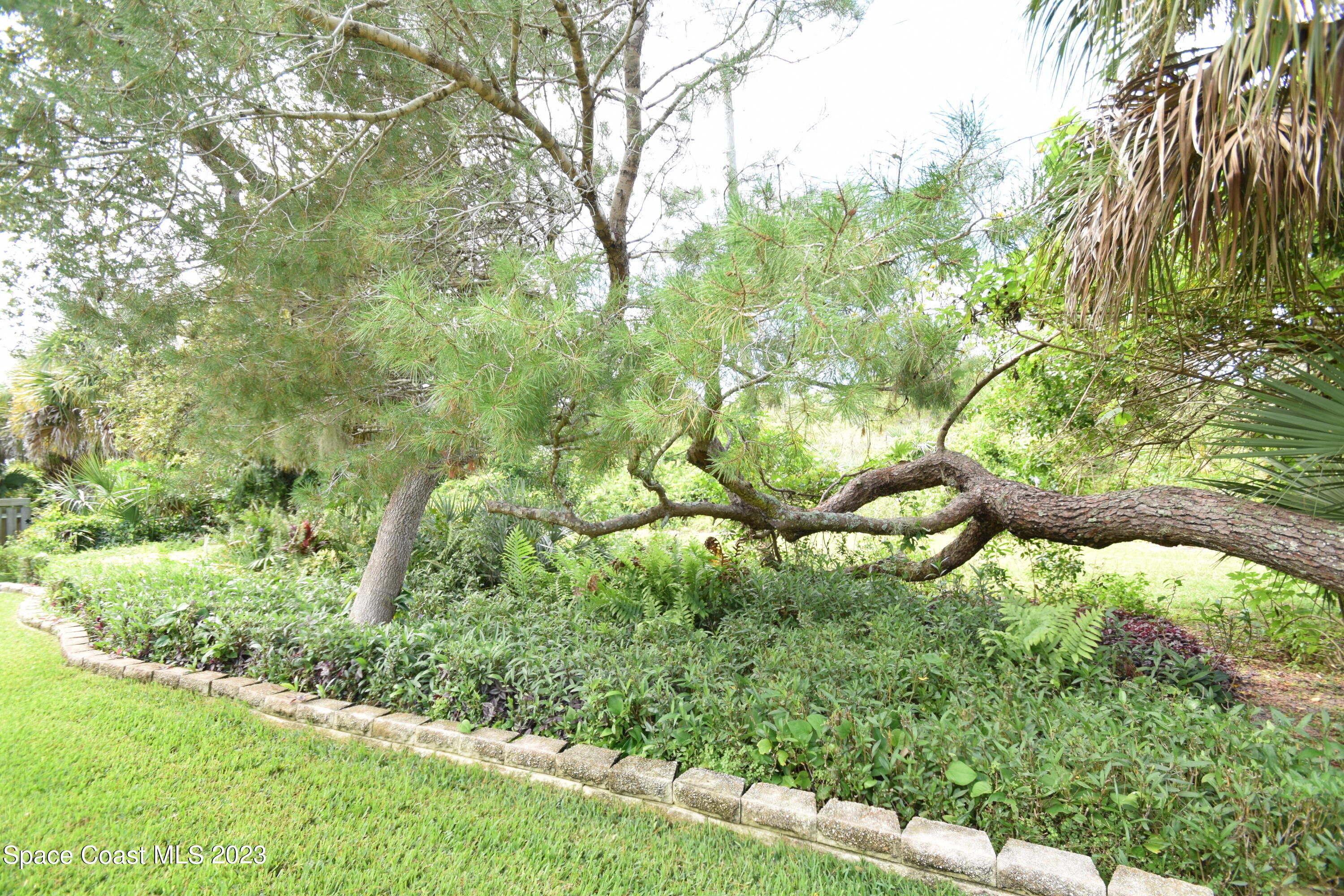 2190 Spring Creek Circle Palm Bay, FL 32905 - Photo 50 of 73 Preserve views