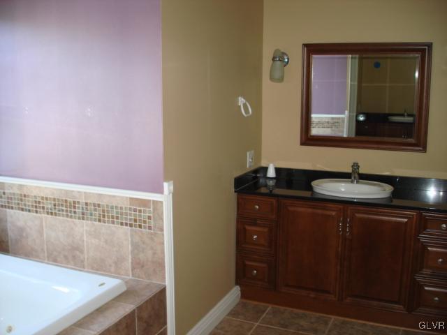 124 Longley Road Nazareth, PA 18064 - Photo 16 of 20 a bathroom with a sink and a mirror