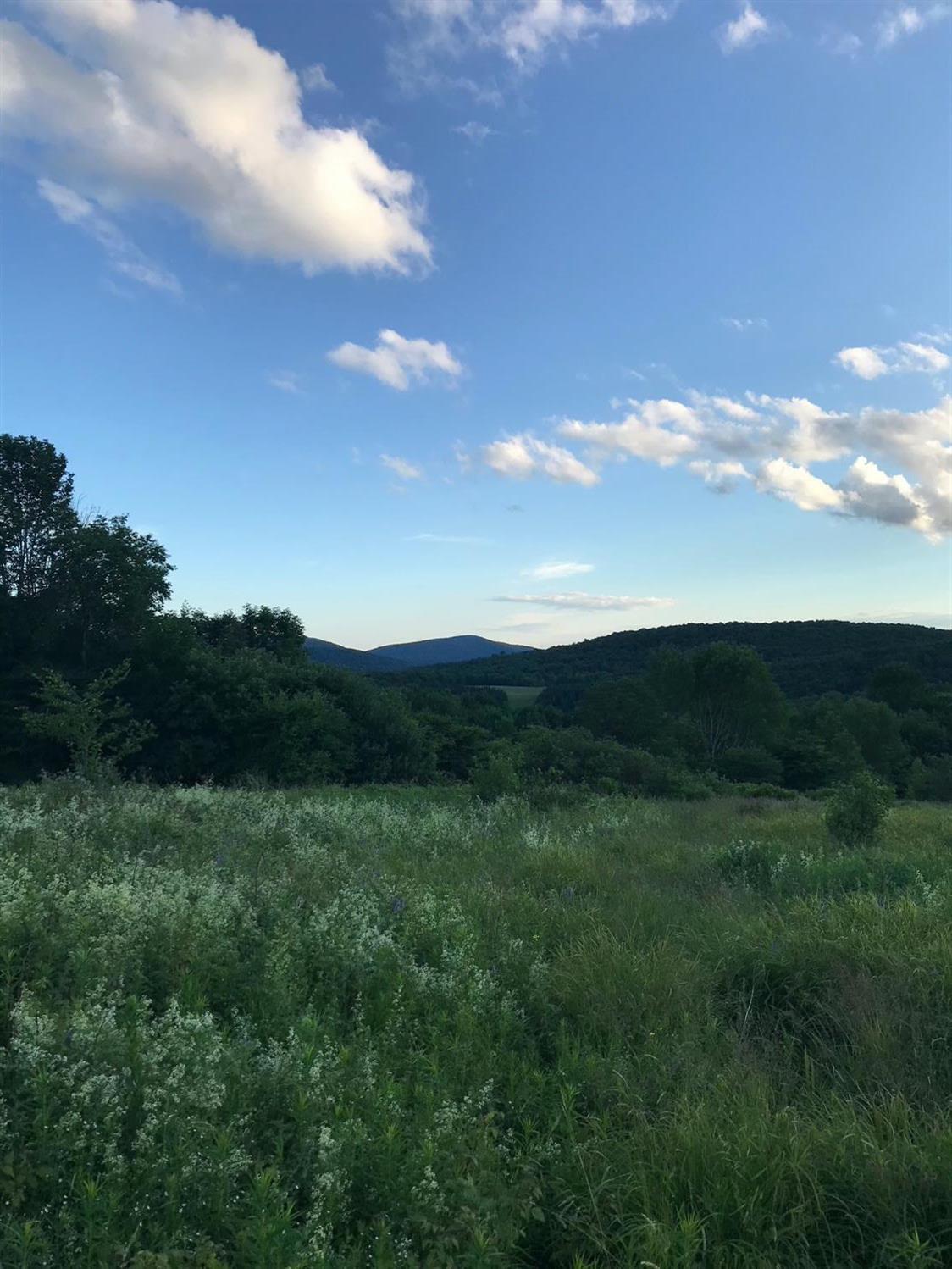 0 John Rice Road Bloomville, NY 13739 - Photo 1 of 1 Gallery Image 1