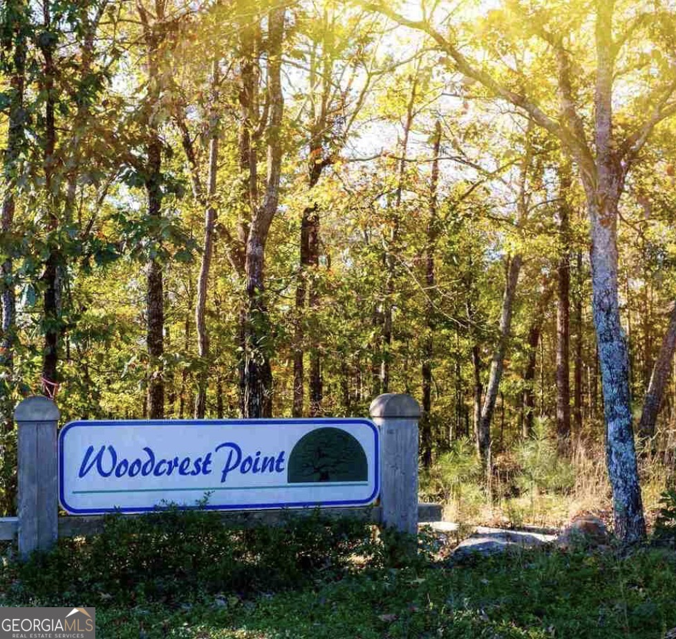 0 County Rd 3294 Wedowee, AL 36278 - Photo 1 of 6