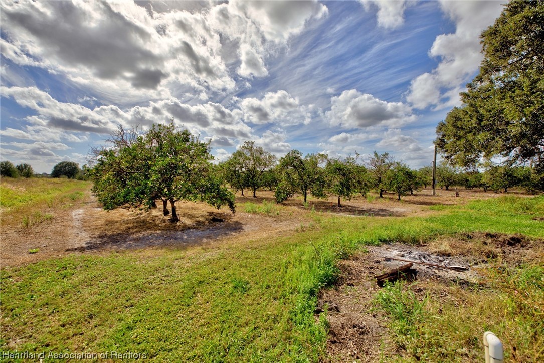 3368 Jack Jones Road Wauchula, FL 33873 - Photo 16 of 25 Gallery Image 16