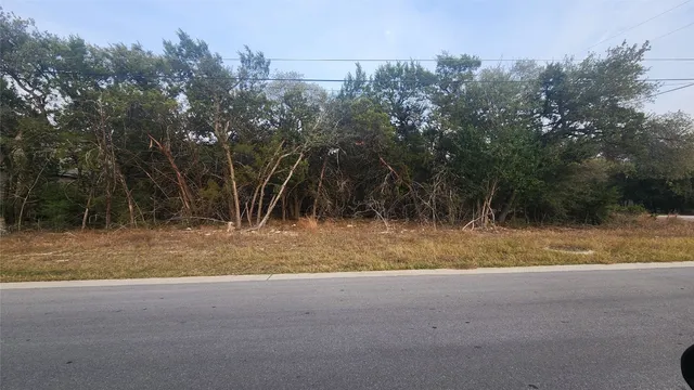 a view of dirt yard and trees
