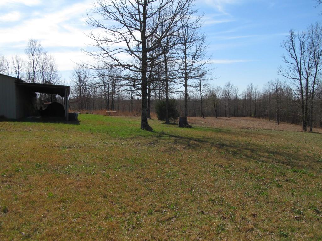 305 Poag Road Hohenwald, TN 38462 - Photo 11 of 27 Gallery Image 11