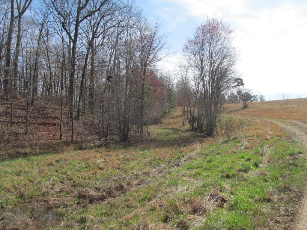 305 Poag Road Hohenwald, TN 38462 - Photo 18 of 27 Gallery Image 18