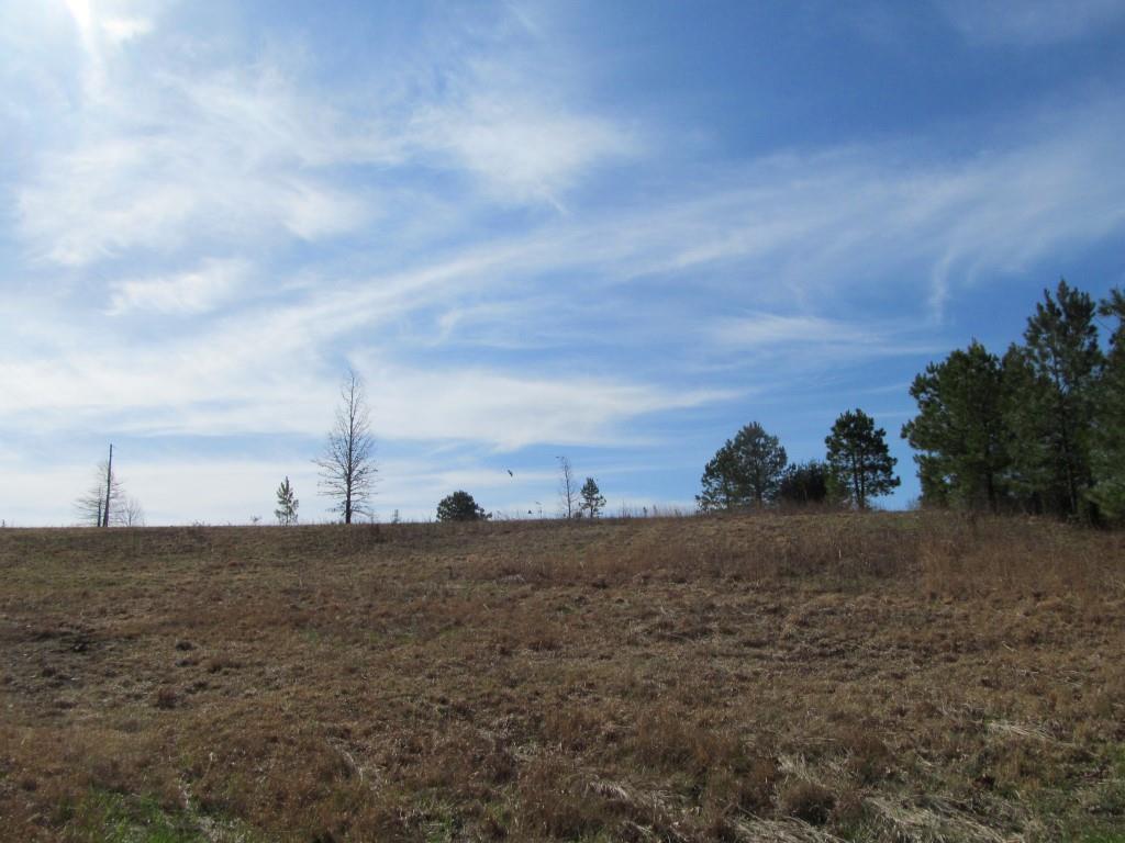 305 Poag Road Hohenwald, TN 38462 - Photo 19 of 27 Gallery Image 19