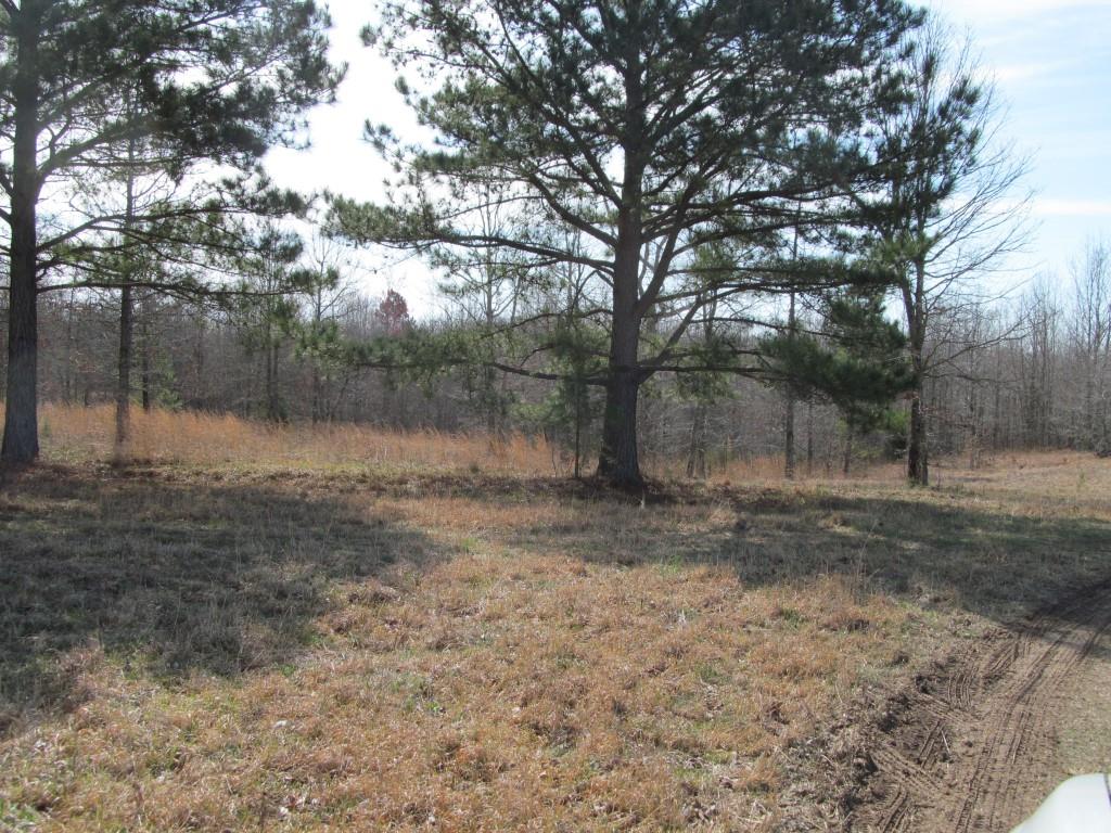 305 Poag Road Hohenwald, TN 38462 - Photo 21 of 27 Gallery Image 21