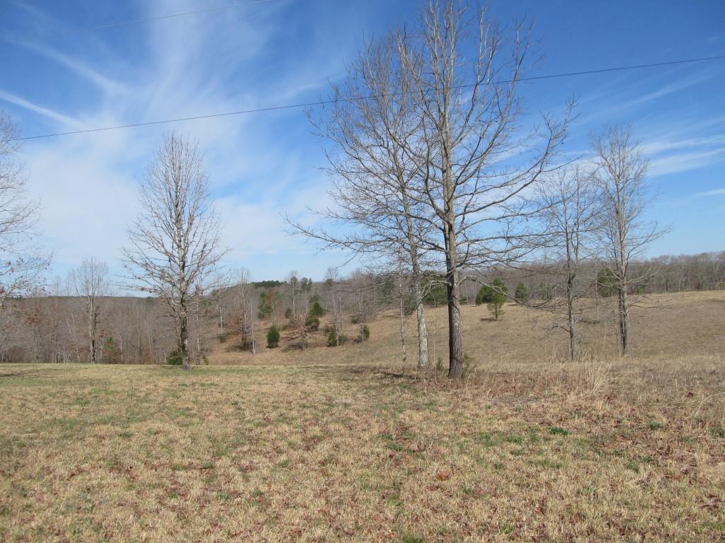 305 Poag Road Hohenwald, TN 38462 - Photo 22 of 27 Gallery Image 22