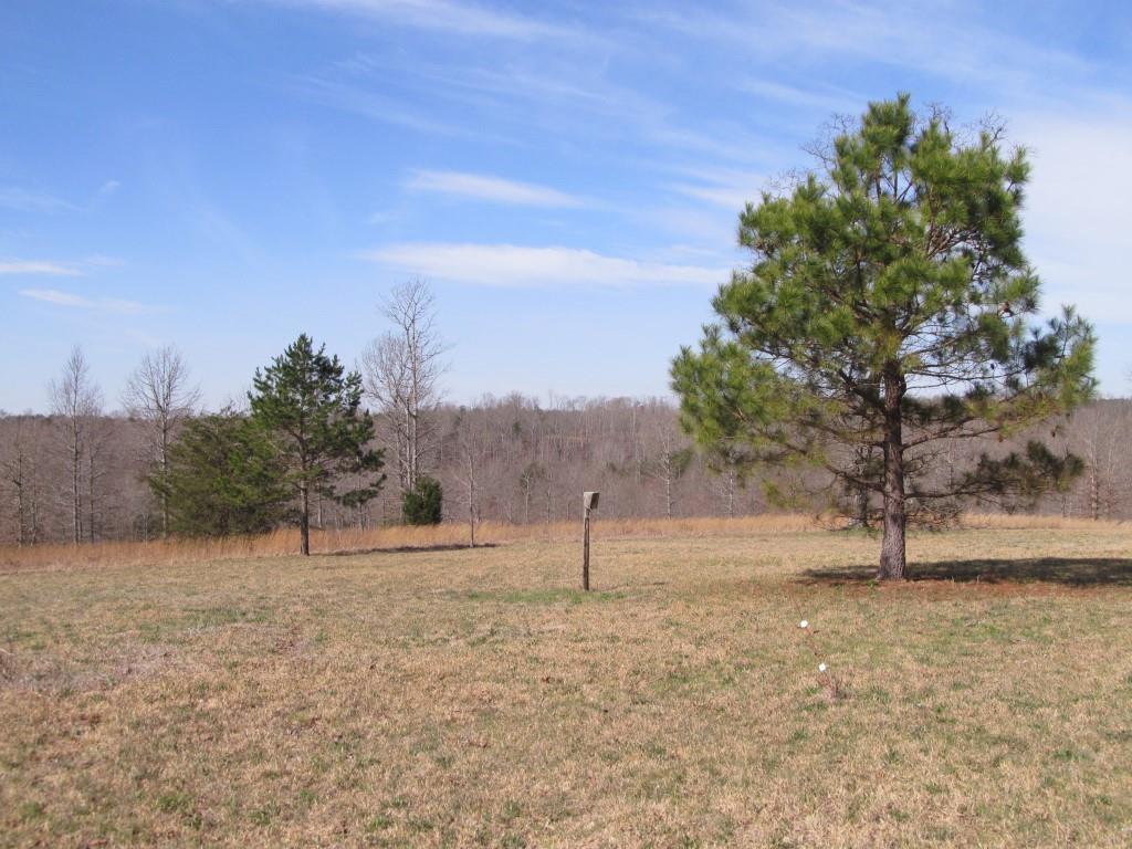 305 Poag Road Hohenwald, TN 38462 - Photo 23 of 27 Gallery Image 23