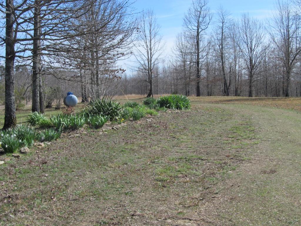 305 Poag Road Hohenwald, TN 38462 - Photo 24 of 27 Gallery Image 24