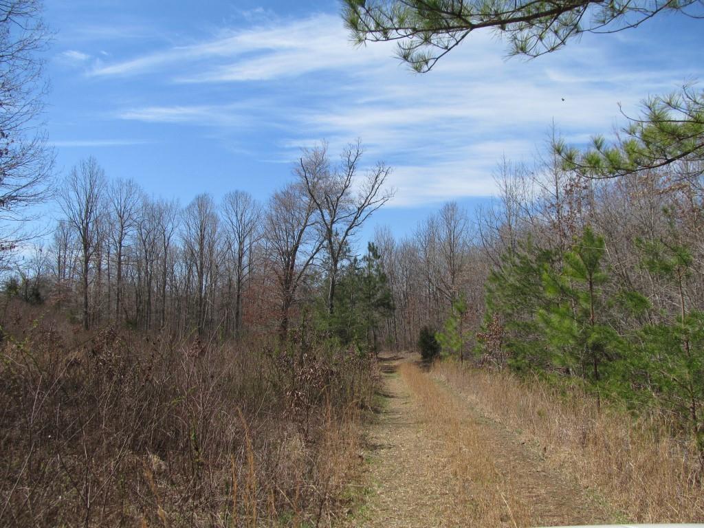 305 Poag Road Hohenwald, TN 38462 - Photo 25 of 27 Gallery Image 25