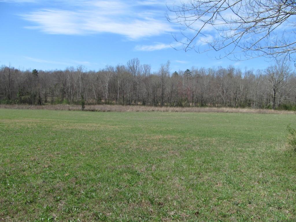 305 Poag Road Hohenwald, TN 38462 - Photo 26 of 27 Gallery Image 26