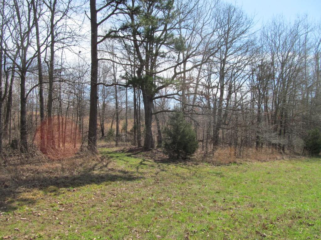 305 Poag Road Hohenwald, TN 38462 - Photo 27 of 27 Gallery Image 27