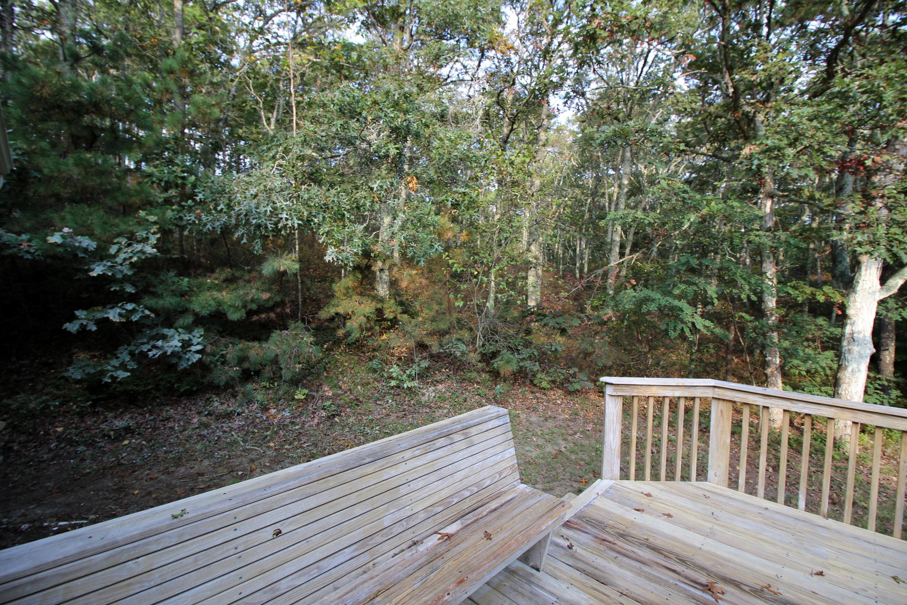 113 Cap'n Jac's Road Centerville, MA 02632 - Photo 28 of 36 yard 1