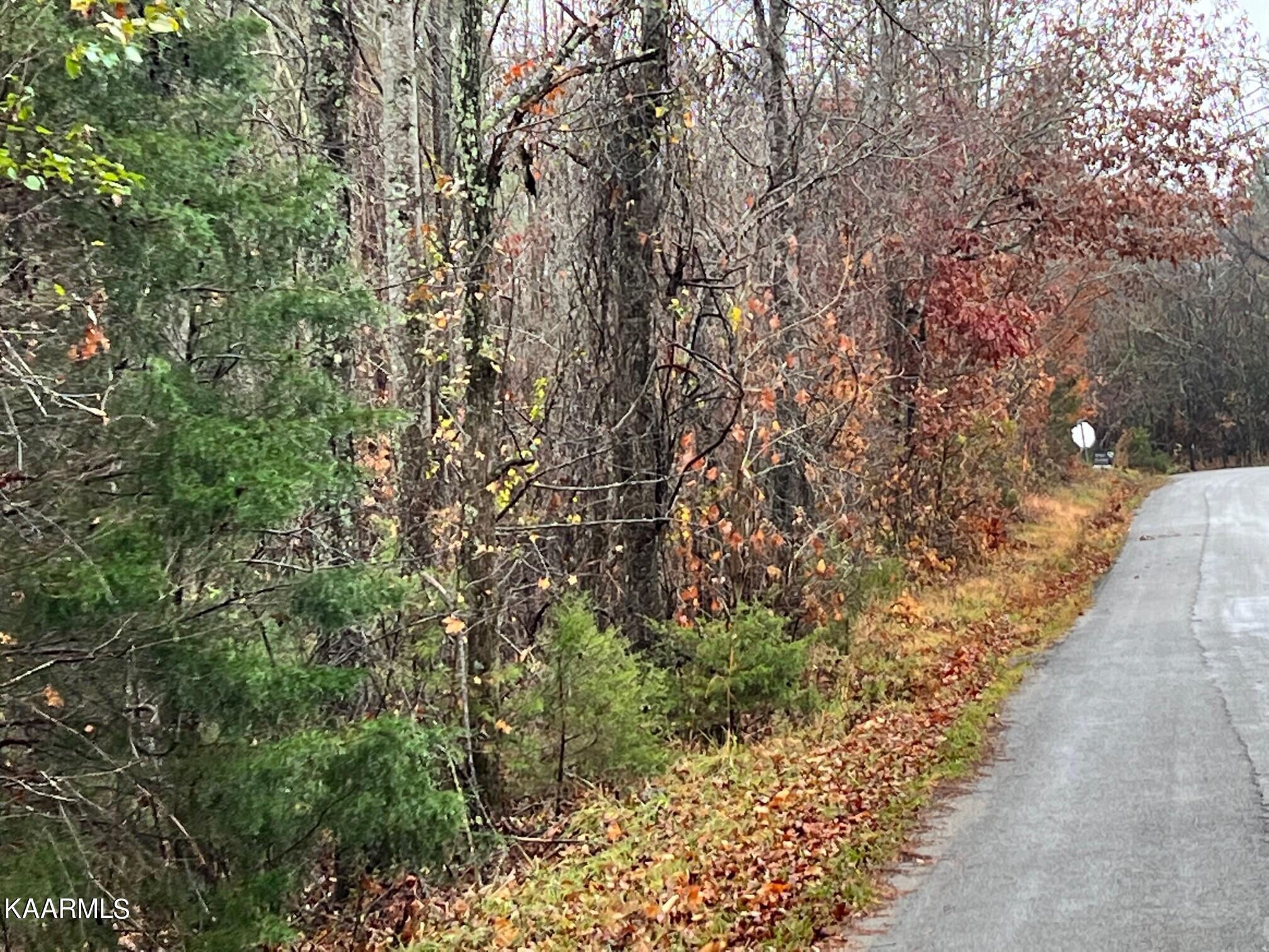Lot 4 Rayl Hollow Decatur, TN 37322 - Photo 4 of 6 RH3