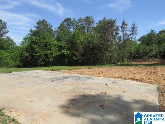 596 Possum Trot Road, Unit 1 Piedmont, AL 36272 - Photo 15 of 15 Gallery Image 15