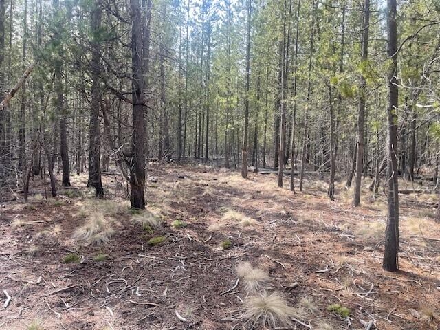 16852 Elsinore Road Bend, OR 97707 - Photo 19 of 29 11