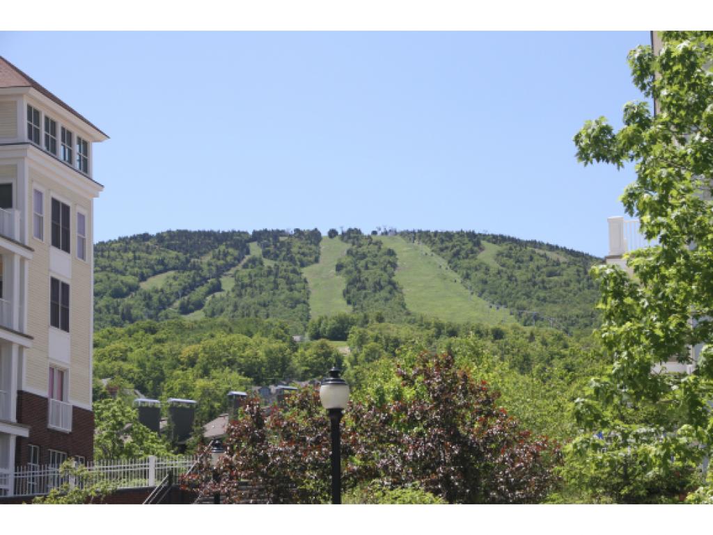 771 Stratton Mountain Road, Unit 353 Stratton, VT 05155 - Photo 2 of 18