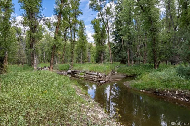 a view of a lush green forest with lots of trees