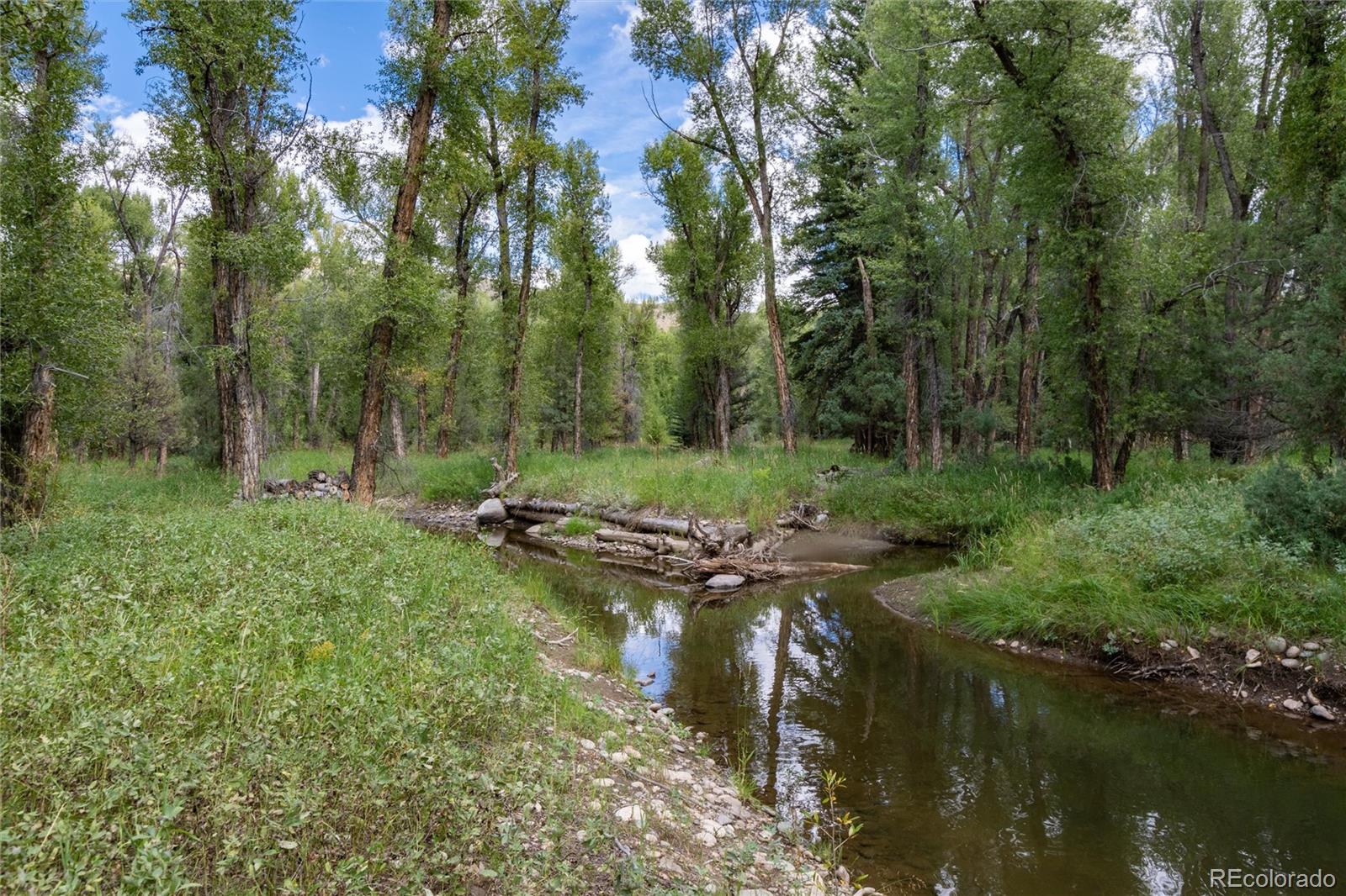125 Main Street Parshall, CO 80468 - Photo 11 of 47 a view of a lush green forest with lots of trees