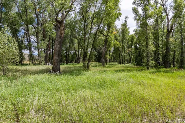 a big yard with lots of green space and trees