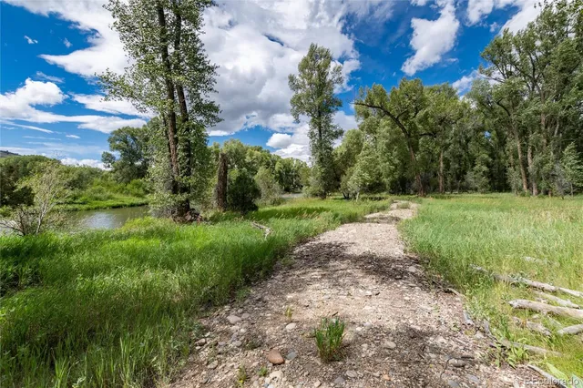 a view of a park with large trees