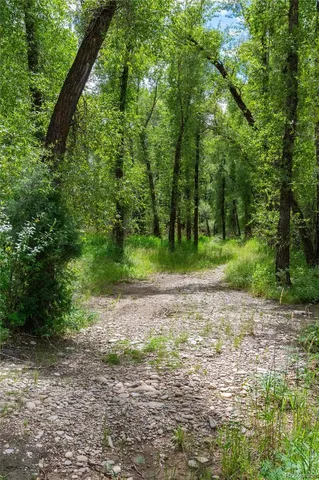 a view of a road with plants and trees