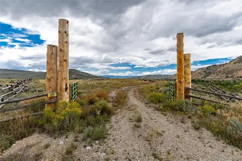 a front view of a tree with a yard