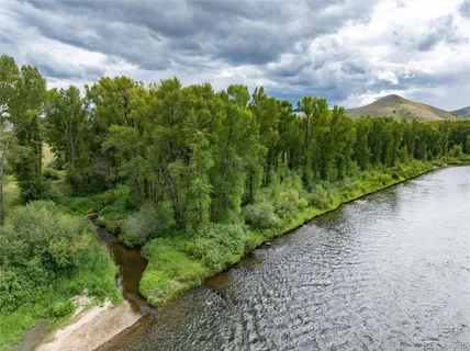 a view of a garden with plants and trees
