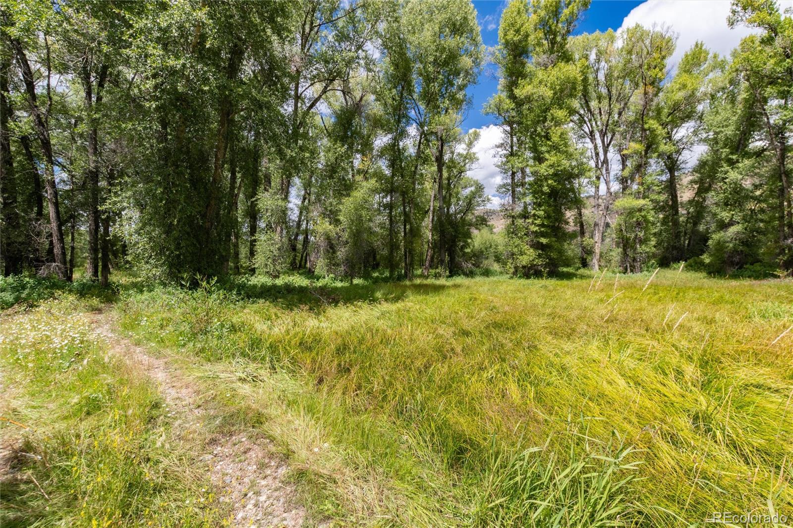 125 Main Street Parshall, CO 80468 - Photo 5 of 47 a view of outdoor space with a garden