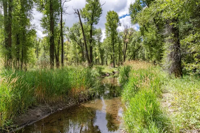 a view of a lake view with a garden