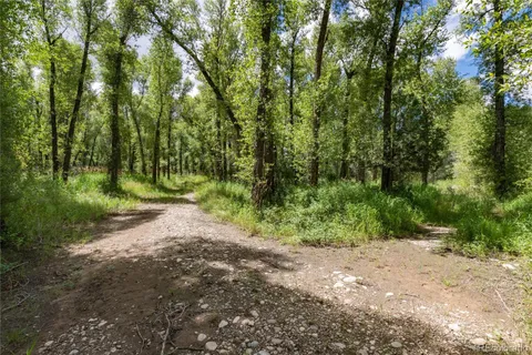 a view of a forest with trees