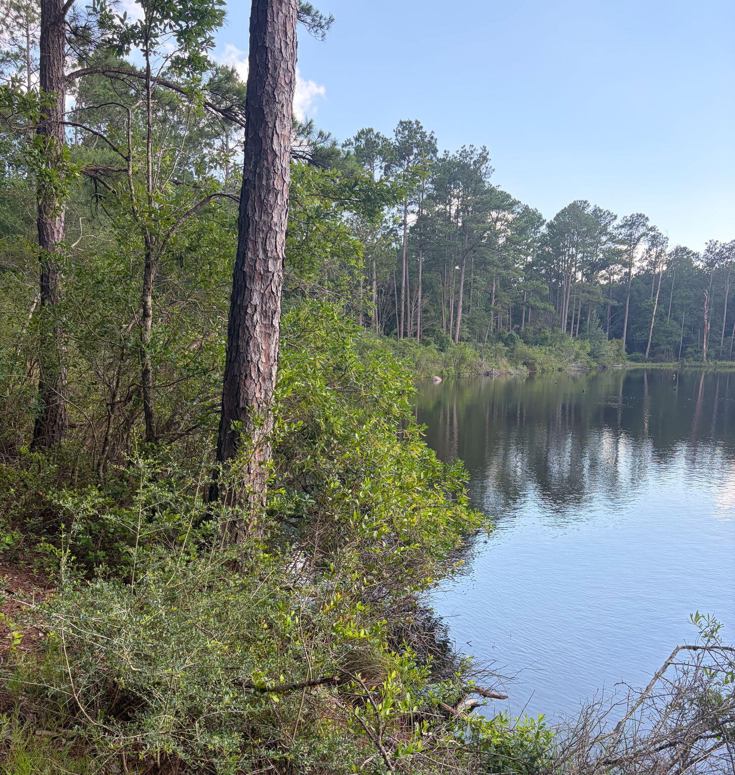 82 Acres 4 Flags Road Laurel Hill, FL 32567 - Photo 39 of 45 38-web-or-mls-IMG_1845