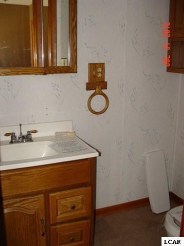 11630 Laird Road Brooklyn, MI 49230 - Photo 9 of 12 20099483-8.JPG