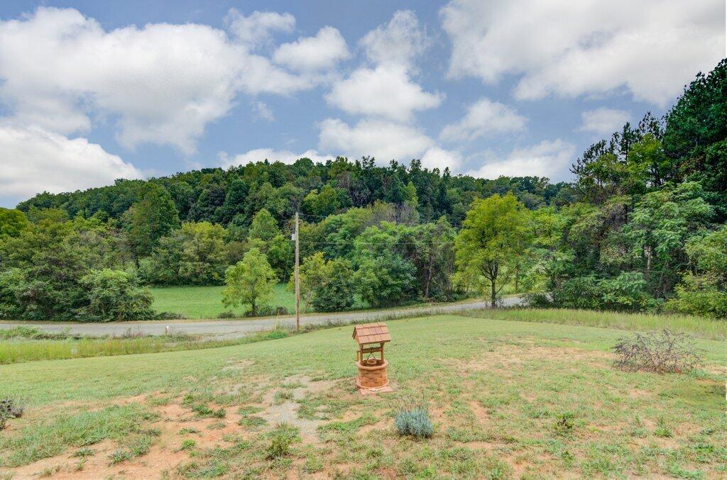 1763 Pendleton Road Thaxton, VA 24174 - Photo 22 of 35 1763 Pendleton Rd_22.jpg-SMALL