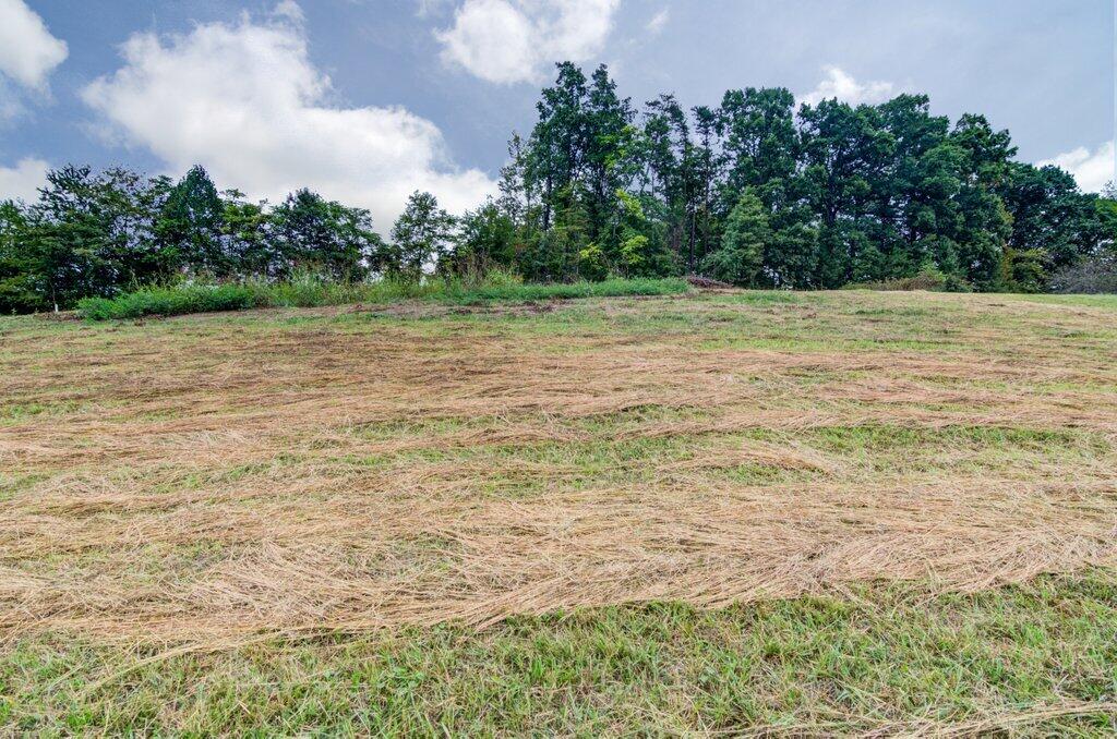 1763 Pendleton Road Thaxton, VA 24174 - Photo 29 of 35 1763 Pendleton Rd_29.jpg-SMALL
