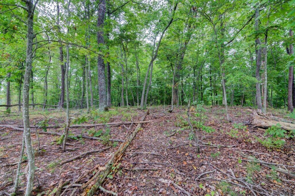 1763 Pendleton Road Thaxton, VA 24174 - Photo 30 of 35 1763 Pendleton Rd_30.jpg-SMALL
