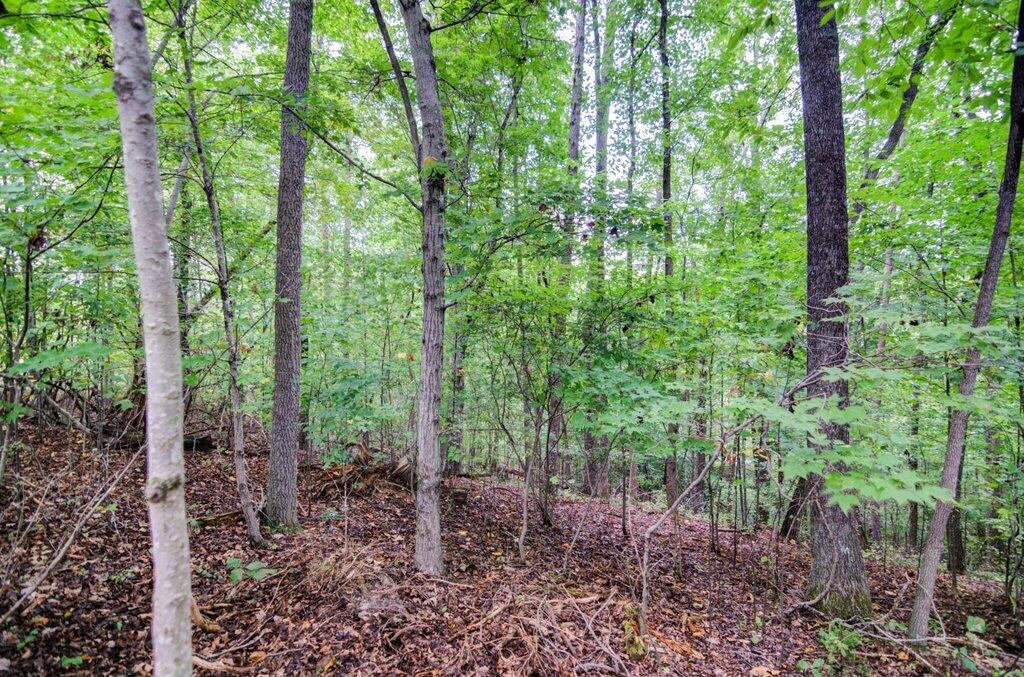1763 Pendleton Road Thaxton, VA 24174 - Photo 31 of 35 1763 Pendleton Rd_31.jpg-SMALL
