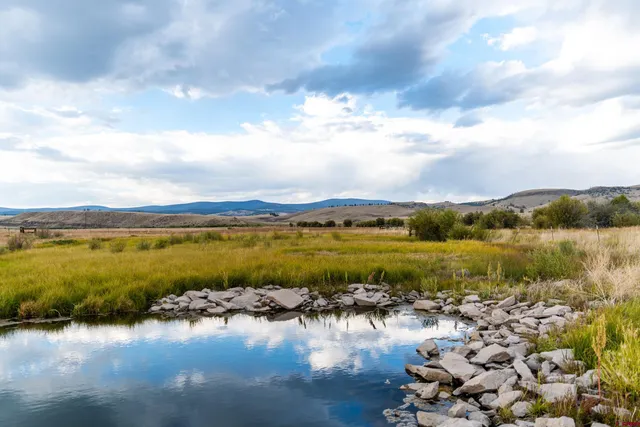 a front view of a house with a big yard and large trees