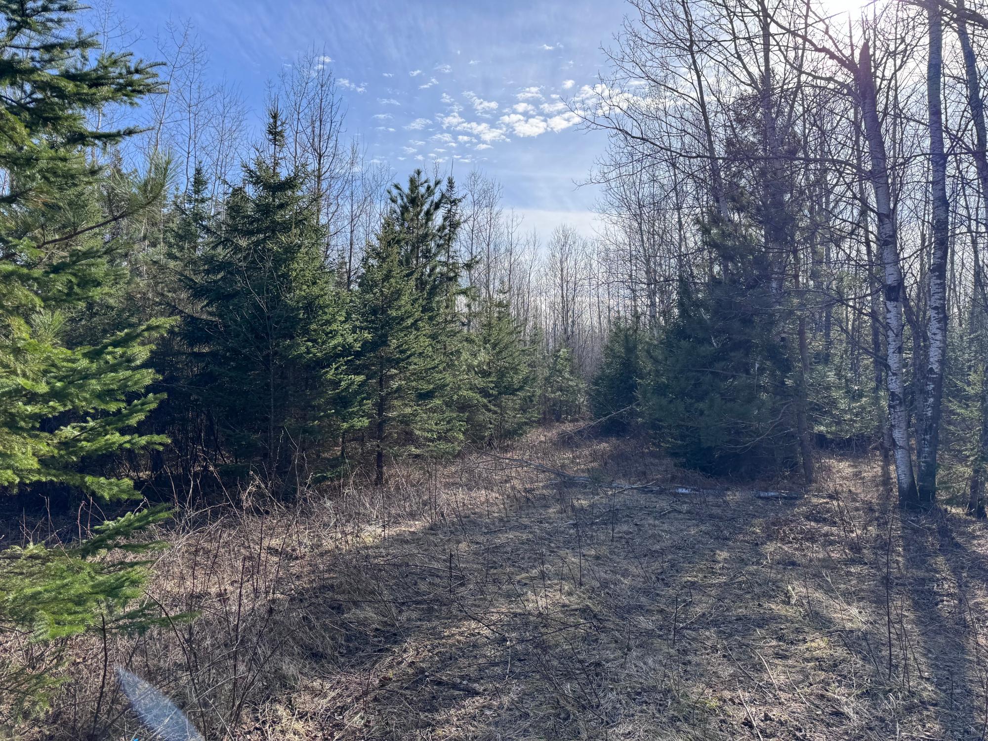 0 Pine Lake Road, Unit LOT 3 Tripoli, WI 54564 - Photo 11 of 11 Gallery Image 11