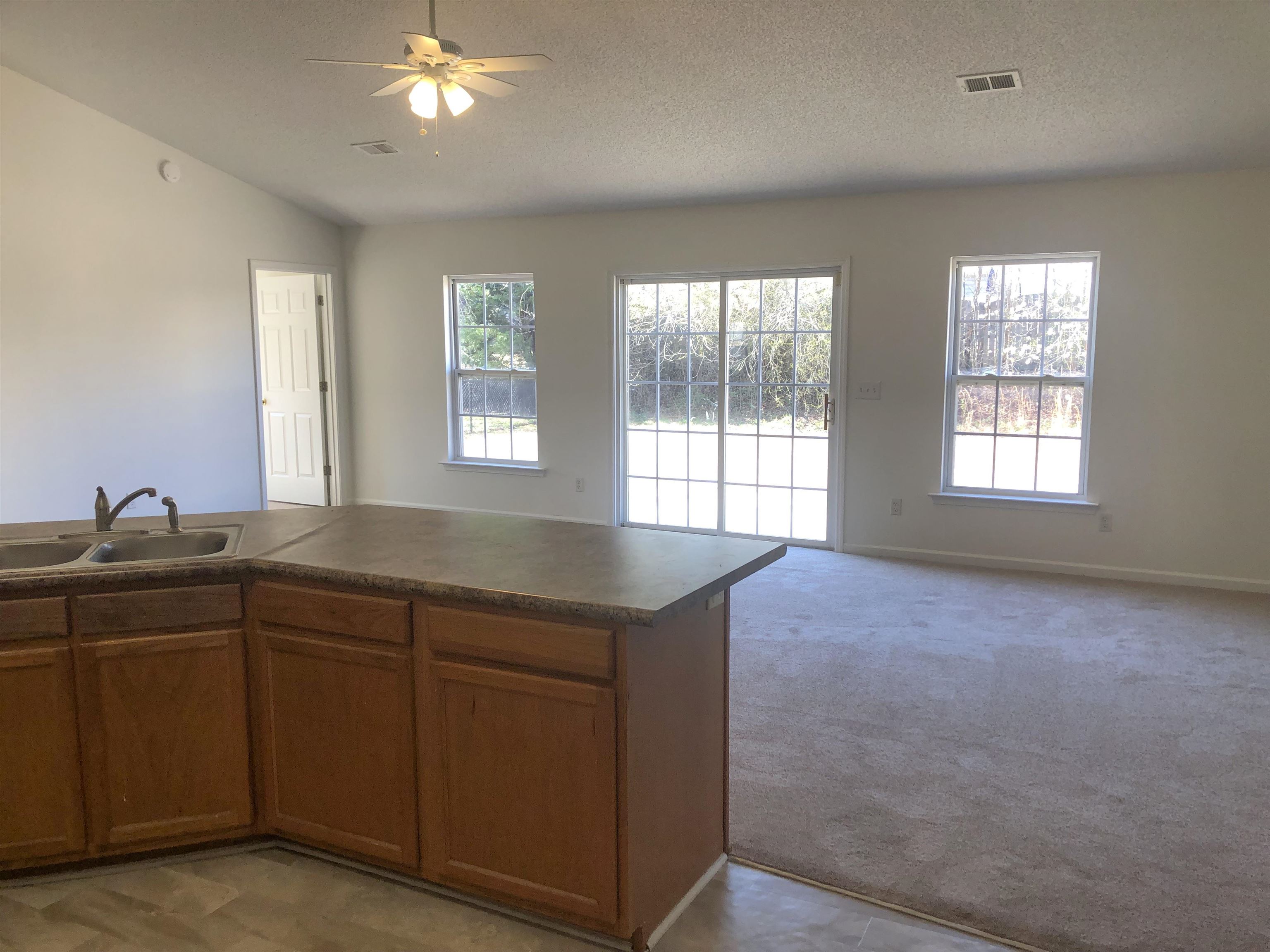 309 Steelman Drive Inman, SC 29349 - Photo 8 of 15