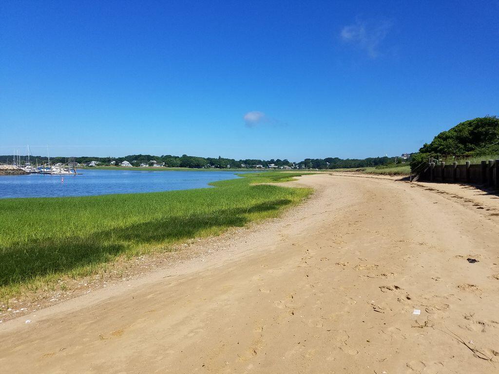 155 Nauhaught Bluff Road Wellfleet, MA 02667 - Photo 2 of 53 a view of an ocean and beach