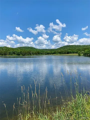 $2,995,000 | Undisclosed Address, Cook Sta, MO 65449