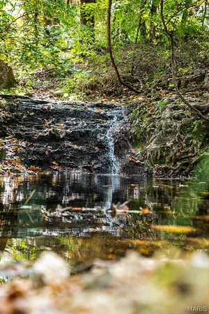 $2,750,000 | Undisclosed Address, Cook Sta, MO 65449