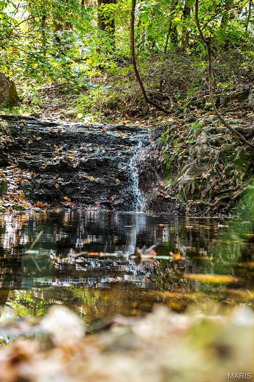 Undisclosed Address Cook Sta, MO 65449 - Photo 69 of 72