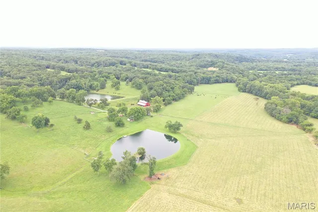 $2,995,000 | Undisclosed Address, Cook Sta, MO 65449